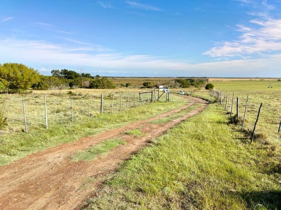0 Bedroom Property for Sale in Humansdorp Rural Eastern Cape